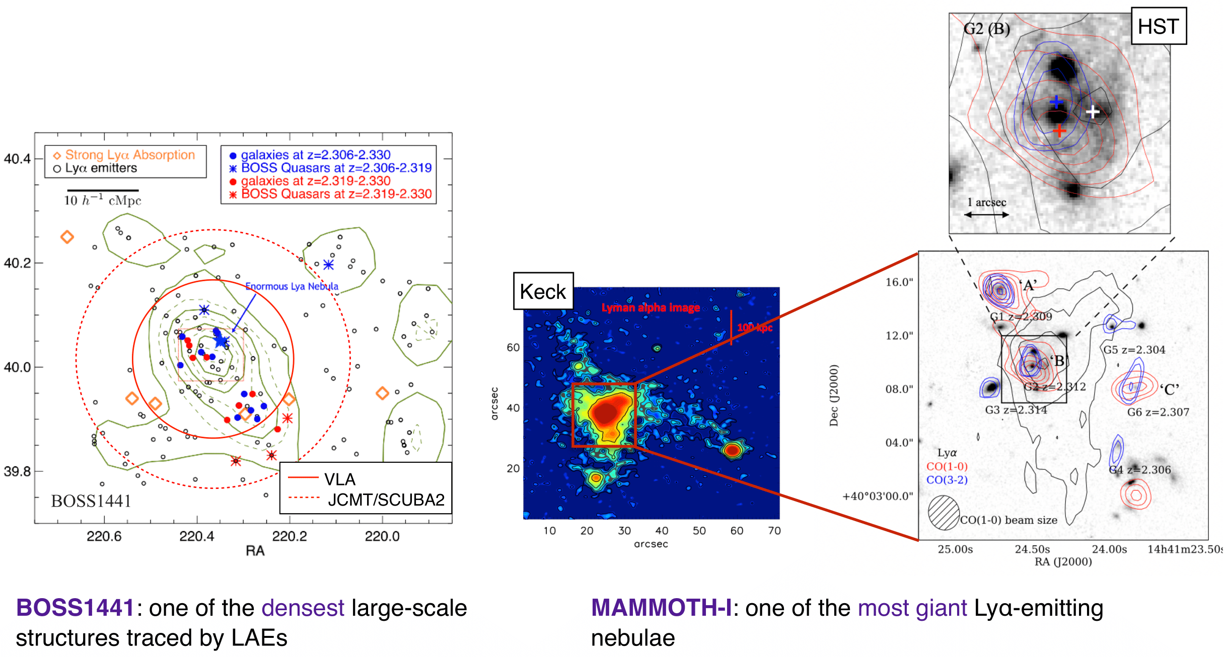 MAMMOTH-1 Nebula