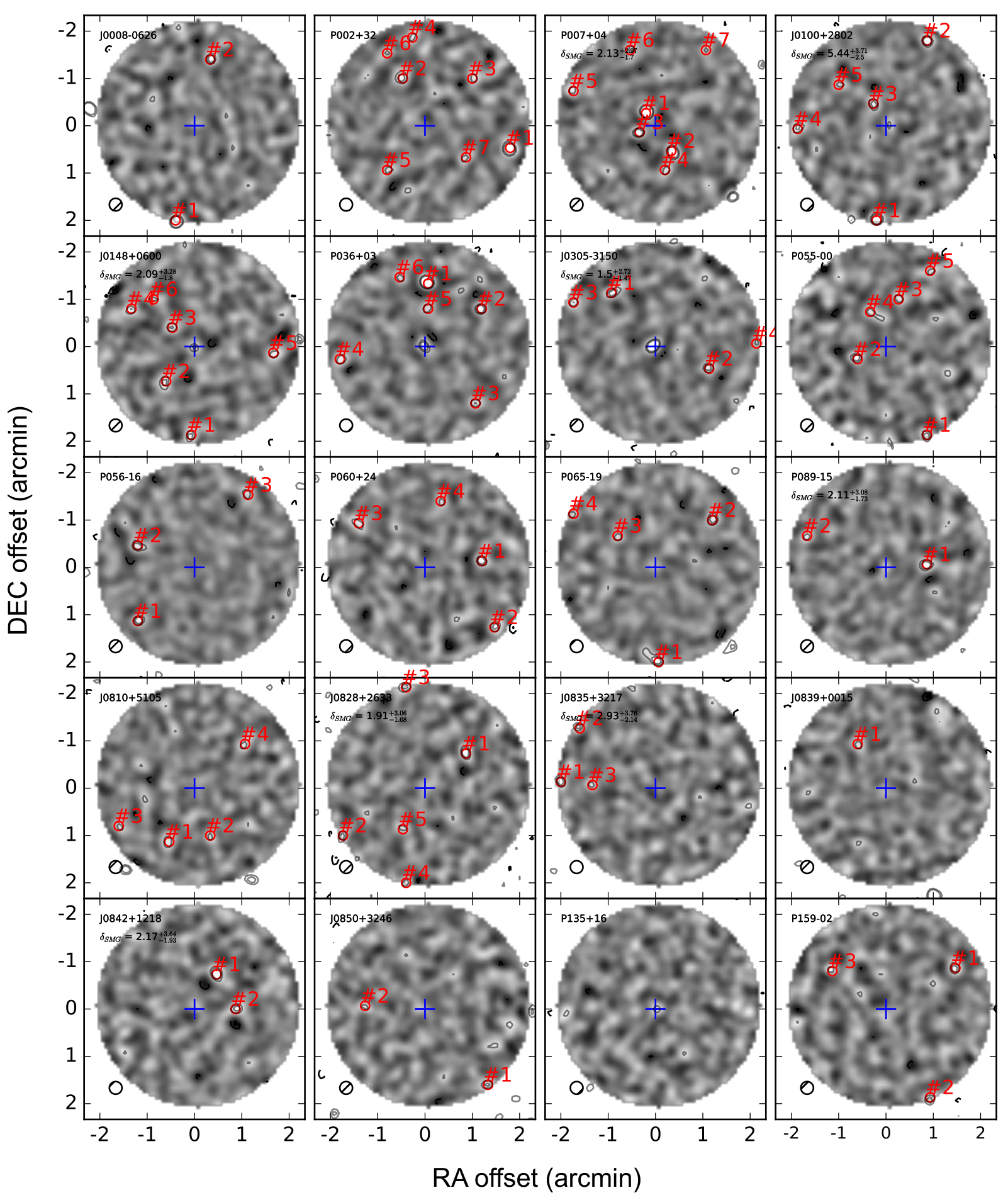 Quasar Protocluster Environment